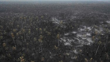 Jair Bolsonaro decreta suspensión de quemas para frenar incendios amazónicos