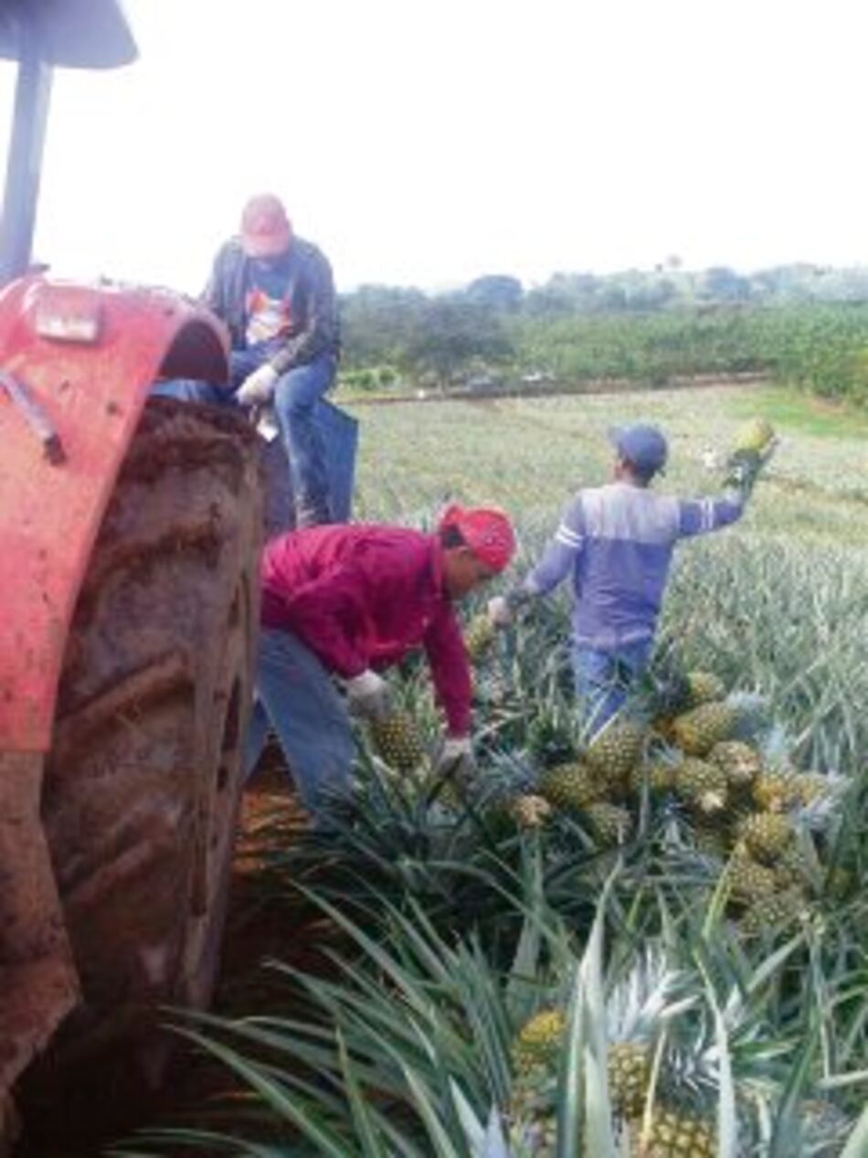 Arraiján refleja más casos de tuberculosis
