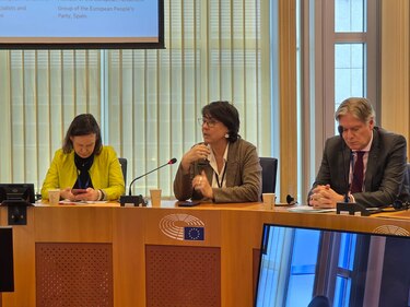 Grupo de eurodiputados apoya la soberanía de Panamá sobre el Canal