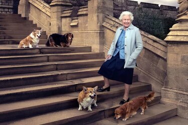 ¿Y ahora qué pasa con los corgis de Isabel II?