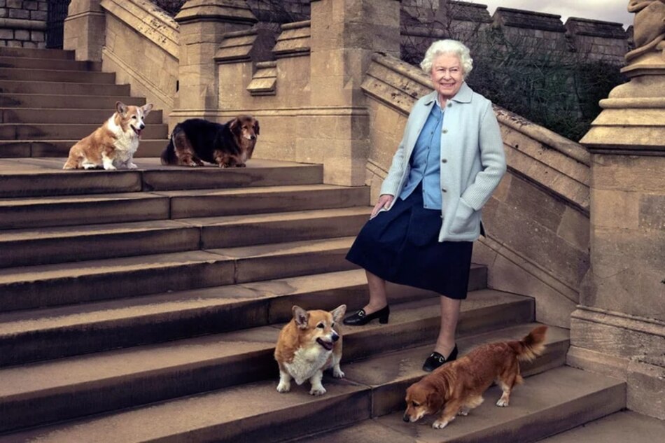 ¿Y ahora qué pasa con los corgis de Isabel II?