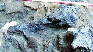 Una mini-Pompeya en Roma