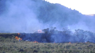 Chiriquí: Se incendian 25 hectáreas de herbazales en el volcán Barú