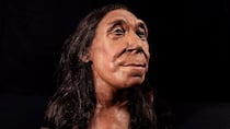La herida que sugiere que los neandertales eran más violentos de lo que se creía