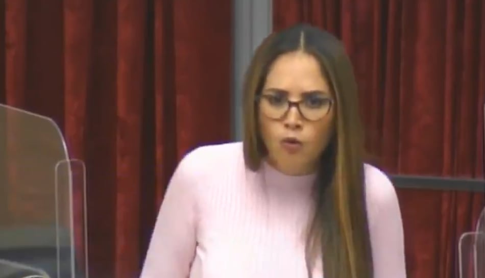 Repudian el discurso cargado de odio de la diputada Zulay Rodríguez