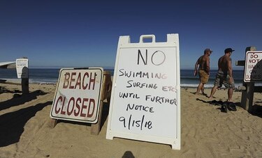 Tiburón mata a surfista frente a playa de Massachusetts