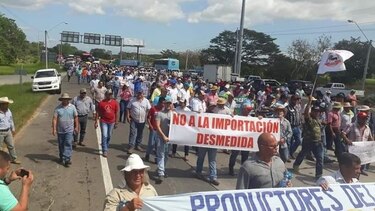 Iglesia confirma intermediación en diálogo entre el Mida y productores