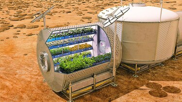Primera lechuga cultivada en el espacio