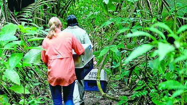 Cuando se libera la naturaleza