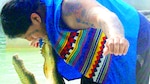De oficio, luchar con caimanes