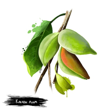 7 frutas que contienen más vitamina C que las naranjas