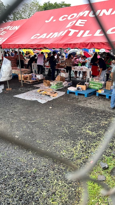 Agroferias del IMA: la fiebre del arroz barato, una fila y muchas historias bajo el sol y la lluvia