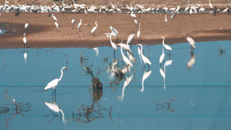 El 2016 va camino de ser el año más cálido registrado