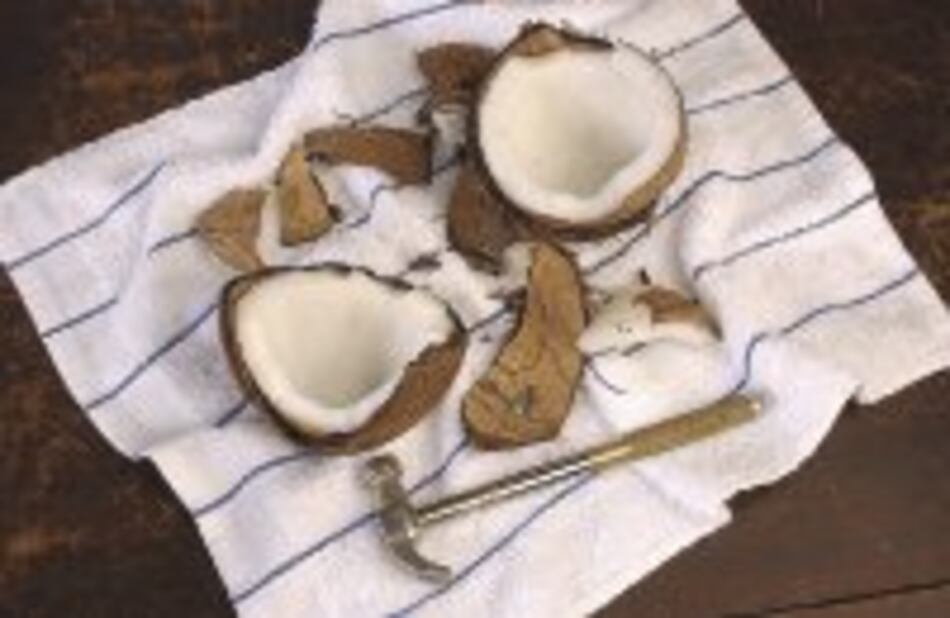 Festival Caribe 2006