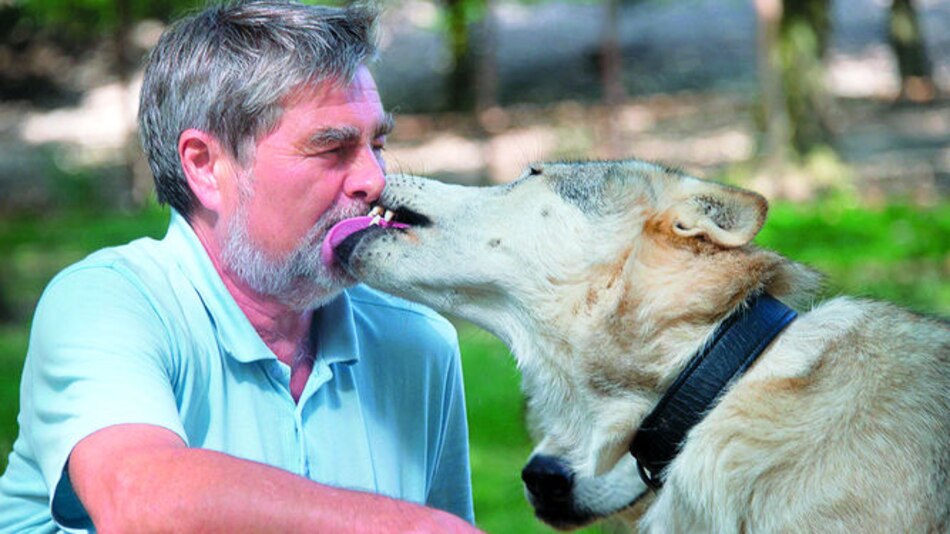 Despertando al ‘lobo interior’