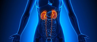 Cinco mitos de la insuficiencia renal
