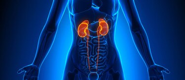 Cinco mitos de la insuficiencia renal