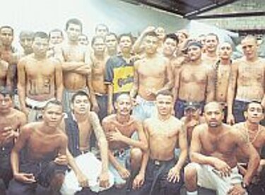 Las marabuntas del miedo