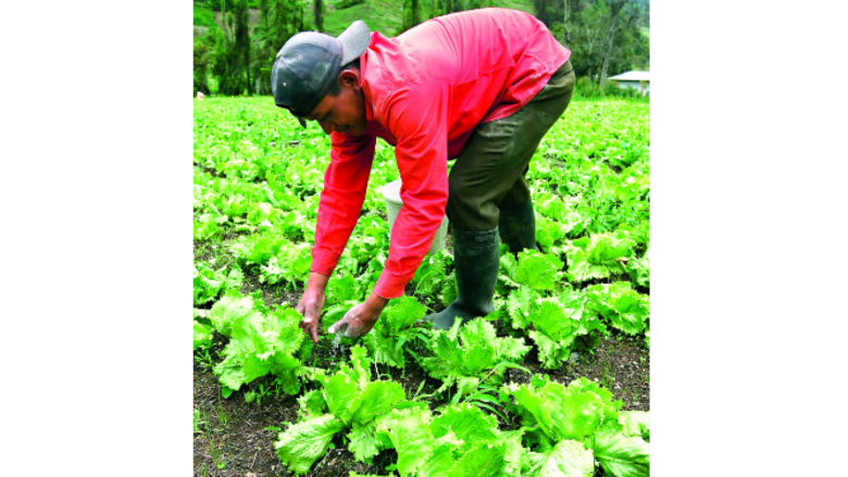 La tarea de poner en marcha un negocio