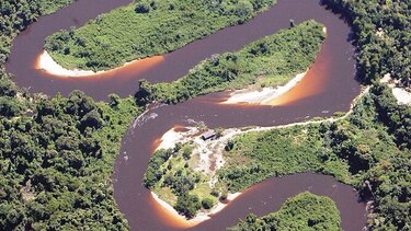 Guerra de aranceles llega a los bosques