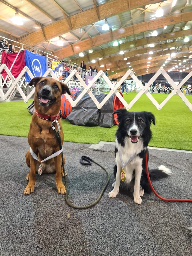 El auge del ‘agility’