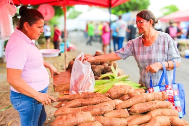 Agroferias del IMA: estos son los puntos de venta para los próximos días