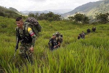 Gobierno y FARC acuerdan sustitución de cultivos ilícitos