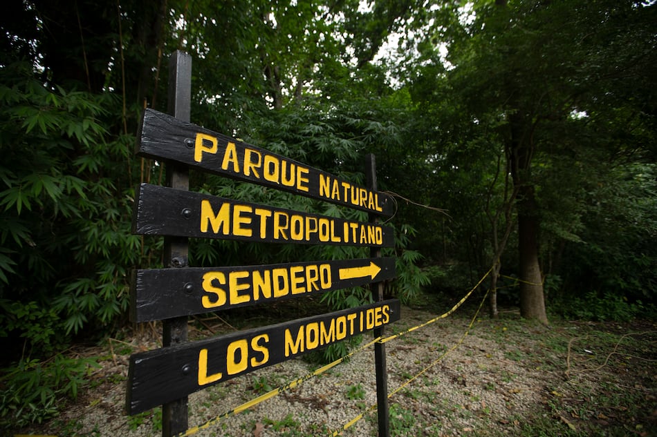 Parque Natural Metropolitano cuenta con Plan de Uso Público