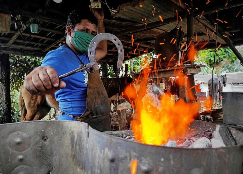 Pueblo turístico de Cuba vuelve a sembrar la tierra ante falta de viajeros