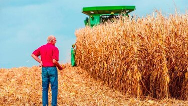 La difícil situación que enfrentan los agricultores en Estados Unidos pone a prueba su apoyo a Trump