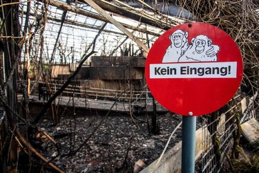Incendio en zoo alemán reaviva debate sobre la pirotecnia