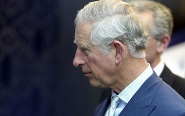 Los mensajes del príncipe Carlos al gobierno británico serán públicos