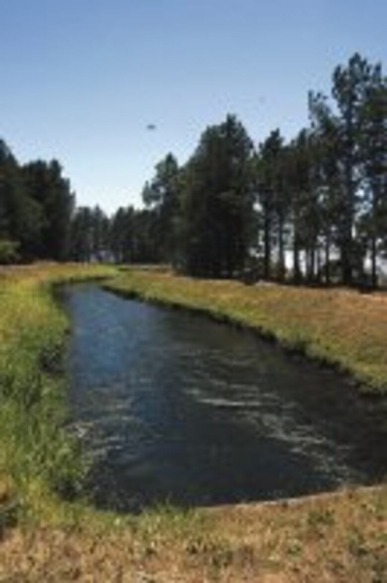 El paraíso en el cielo