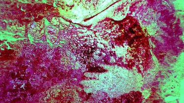 Las manos de la prehistoria
