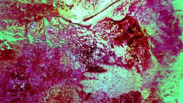 Las manos de la prehistoria