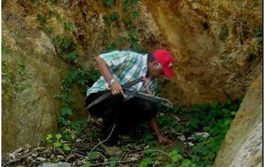Fincas ganaderas en Los Santos se quedan sin agua