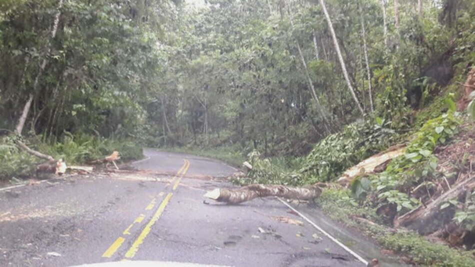 Un muerto, varias casas afectadas y árboles caídos en Bocas del Toro