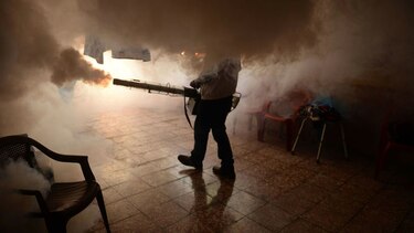 Casi medio centenar de niños nacieron con microcefalia por zika en Guatemala