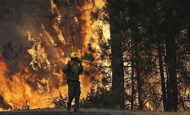 California es azotada por incendios forestales