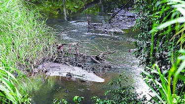Autoridades inspeccionan el río Cárdenas por mal olor