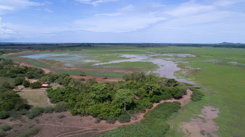 Ciénaga de Las Macanas está bajo amenaza: propuesta de ley reduce restricciones