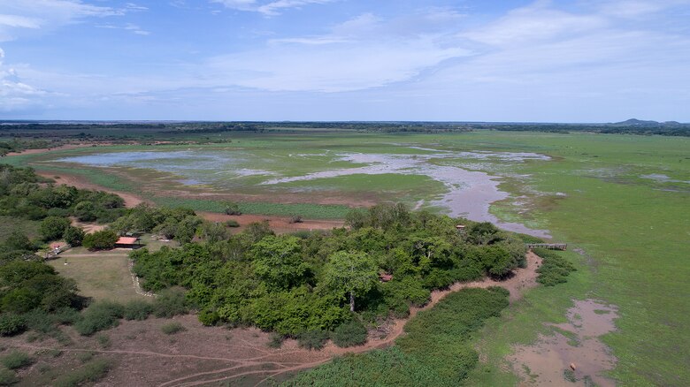 Ciénaga de Las Macanas está bajo amenaza: propuesta de ley reduce restricciones