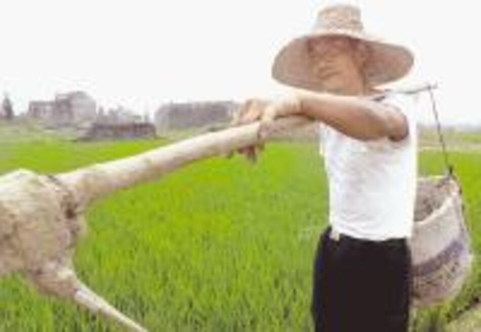 Pese a parálisis casi general, la OMC prepara reunión de Cancún