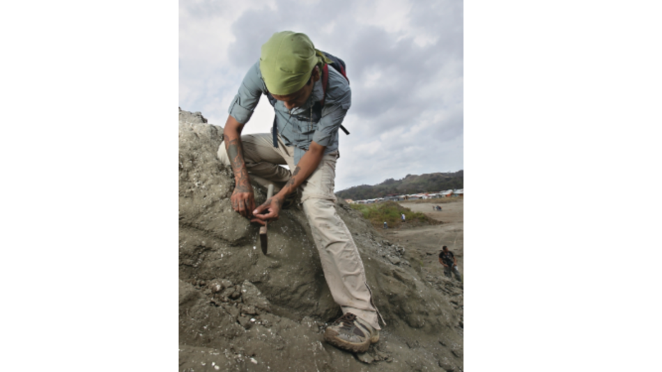 Paleontólogos por un día