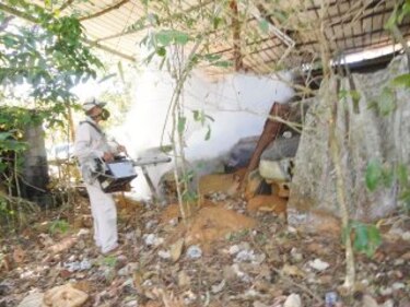 Inconsciencia general agrava infestación del mosquito del dengue