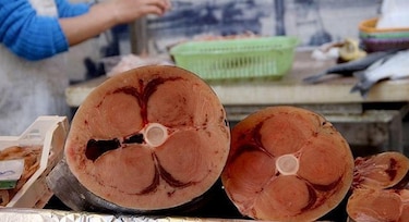 Las ONG se alarman ante una posible subida de las cuotas de pesca de atún rojo