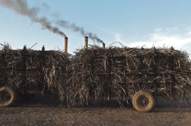 El ‘botón’ legal que podría activar la mezcla de gasolina con etanol en cualquier momento