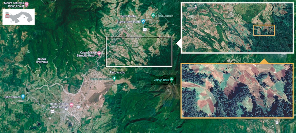 Cultivo agrícola en Tierras Altas, sin un plan de manejo