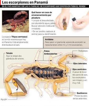 Panamá, por el antídoto ideal
