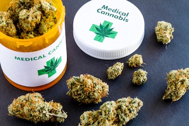 Estas son las siete empresas que calificaron para la  licencia de cannabis medicinal